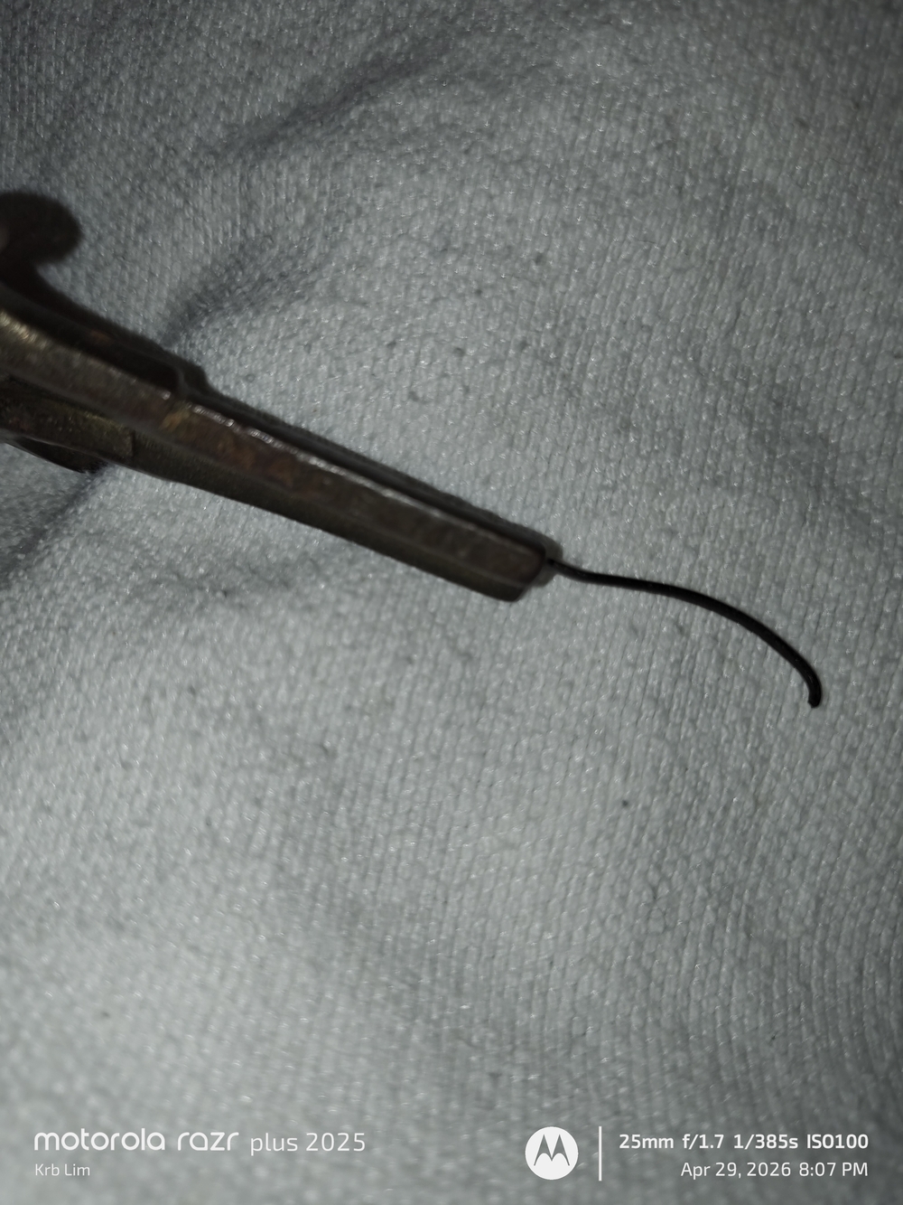 Vintage Antique Jaw Harp